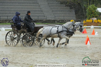 MS 2 Lipica 2017 - parkur + vyhlášení