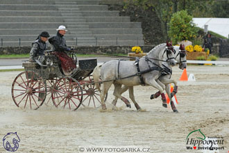 MS 2 Lipica 2017 - parkur + vyhlášení