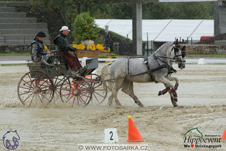 MS 2 Lipica 2017 - parkur + vyhlášení