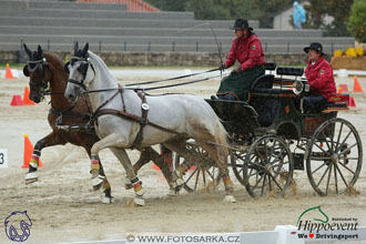 MS 2 Lipica 2017 - parkur + vyhlášení