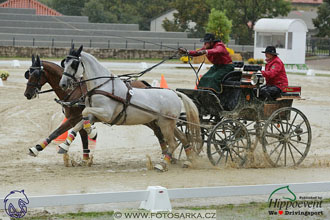 MS 2 Lipica 2017 - parkur + vyhlášení