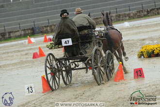 MS 2 Lipica 2017 - parkur + vyhlášení