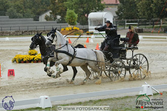 MS 2 Lipica 2017 - parkur + vyhlášení