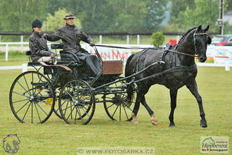 Nebanice 2017 - drezury