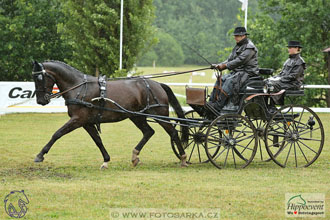 Nebanice 2017 - drezury