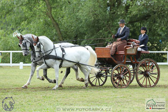 Nebanice 2017 - drezury