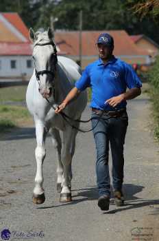 Nebanice - kodičky