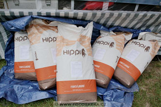 Podzámecká výstava