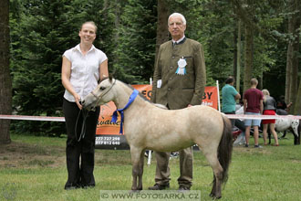 Podzámecká výstava