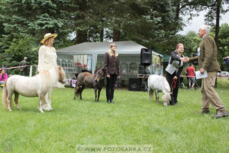 Podzámecká výstava