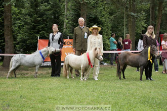 Podzámecká výstava