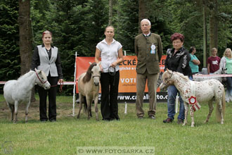 Podzámecká výstava