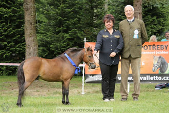Podzámecká výstava