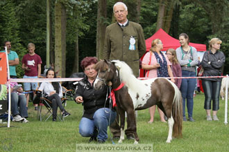 Podzámecká výstava