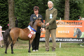 Podzámecká výstava