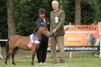 Podzámecká výstava