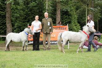 Podzámecká výstava