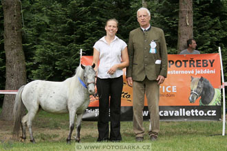 Podzámecká výstava