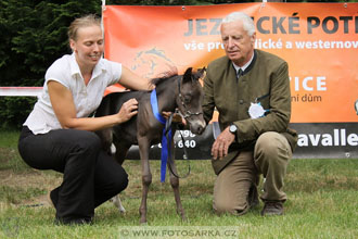 Podzámecká výstava