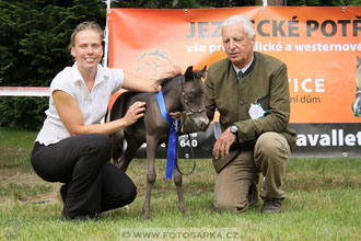 Podzámecká výstava