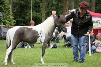 Podzámecká výstava