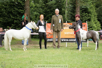 Podzámecká výstava