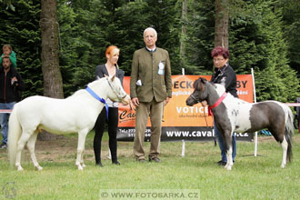 Podzámecká výstava