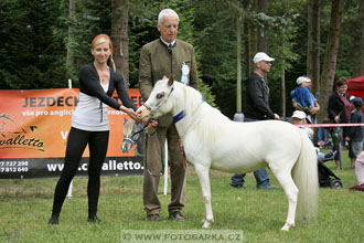 Podzámecká výstava