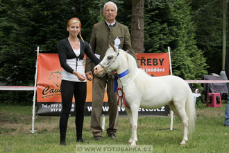 Podzámecká výstava