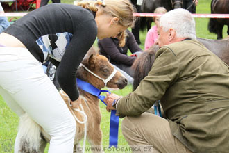 Podzámecká výstava