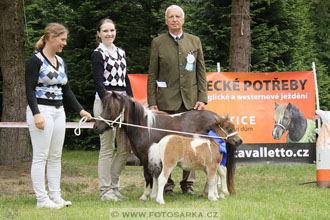 Podzámecká výstava