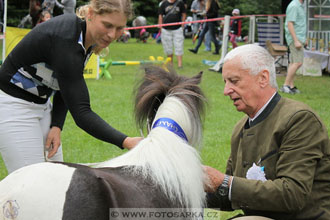 Podzámecká výstava