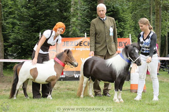 Podzámecká výstava