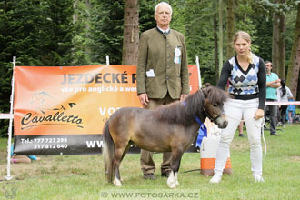 Podzámecká výstava