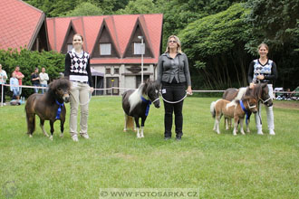 Podzámecká výstava