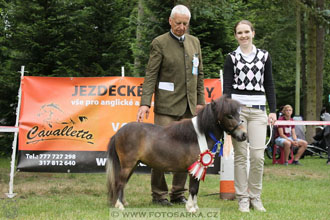 Podzámecká výstava