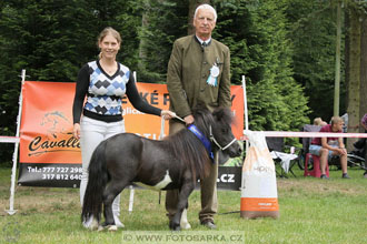 Podzámecká výstava