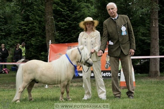 Podzámecká výstava