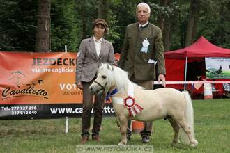 Podzámecká výstava