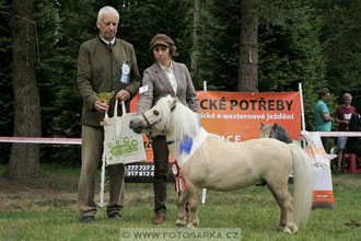 Podzámecká výstava