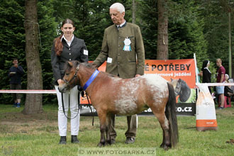 Podzámecká výstava