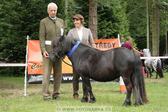 Podzámecká výstava