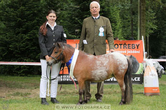 Podzámecká výstava