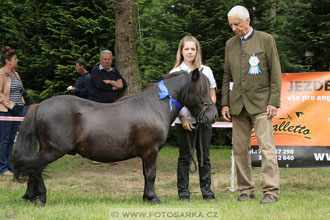 Podzámecká výstava