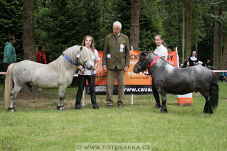 Podzámecká výstava