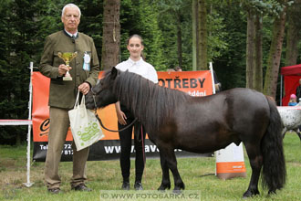 Podzámecká výstava