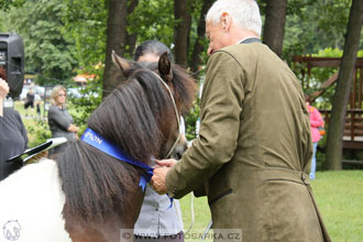 Podzámecká výstava