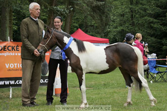 Podzámecká výstava