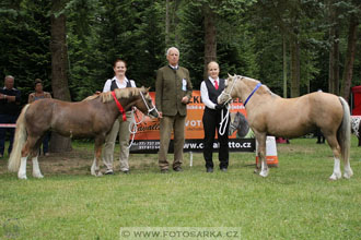Podzámecká výstava