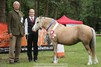 Podzámecká výstava